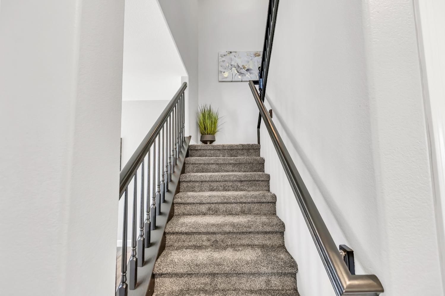 Detail Gallery Image 31 of 68 For 5409 Friesian Way, Elk Grove,  CA 95757 - 4 Beds | 2/1 Baths