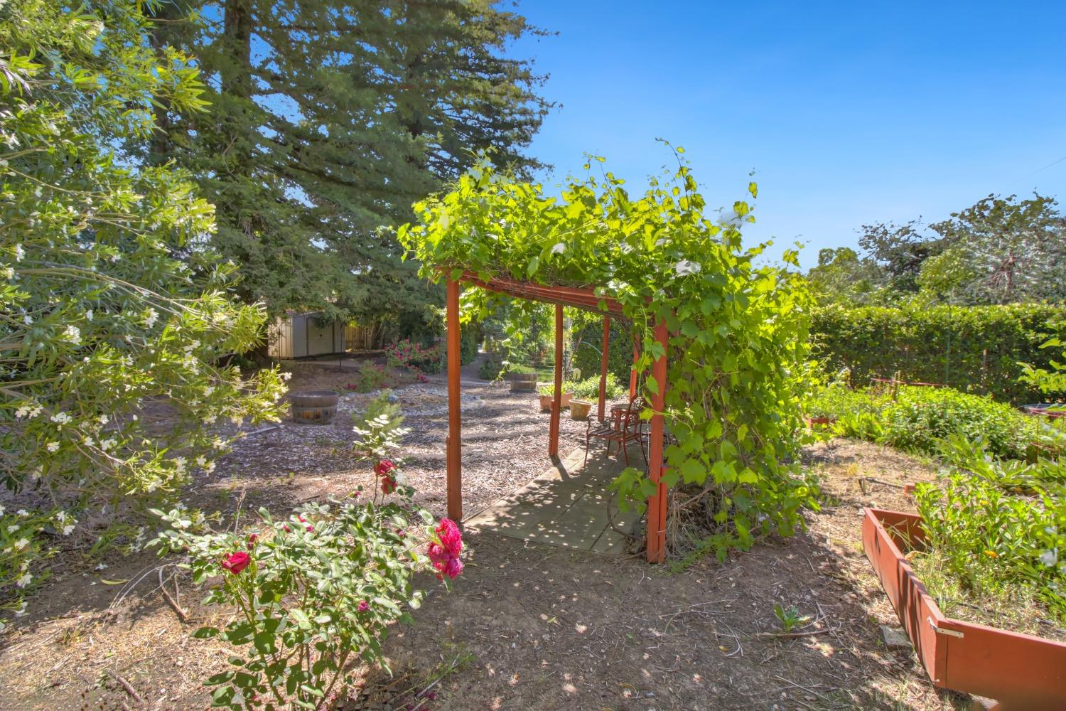 Detail Gallery Image 58 of 73 For 1837 Drew Ct, Carmichael,  CA 95608 - 4 Beds | 2 Baths
