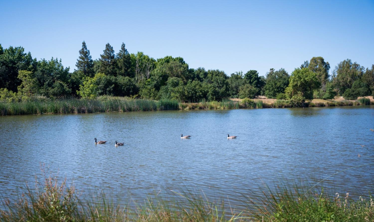 Detail Gallery Image 4 of 8 For 8167 Lavigne Cir, Elk Grove,  CA 95757 - 3 Beds | 2/1 Baths