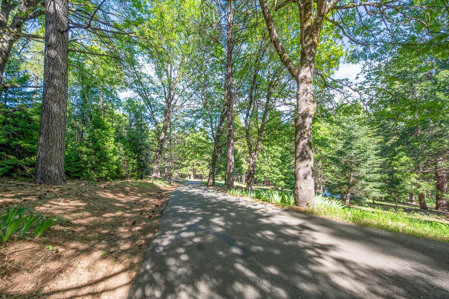 Dio Linda Court, Pollock Pines, California image 18