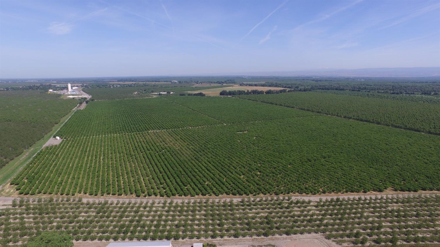 Zarzo, La Grange, California image 9