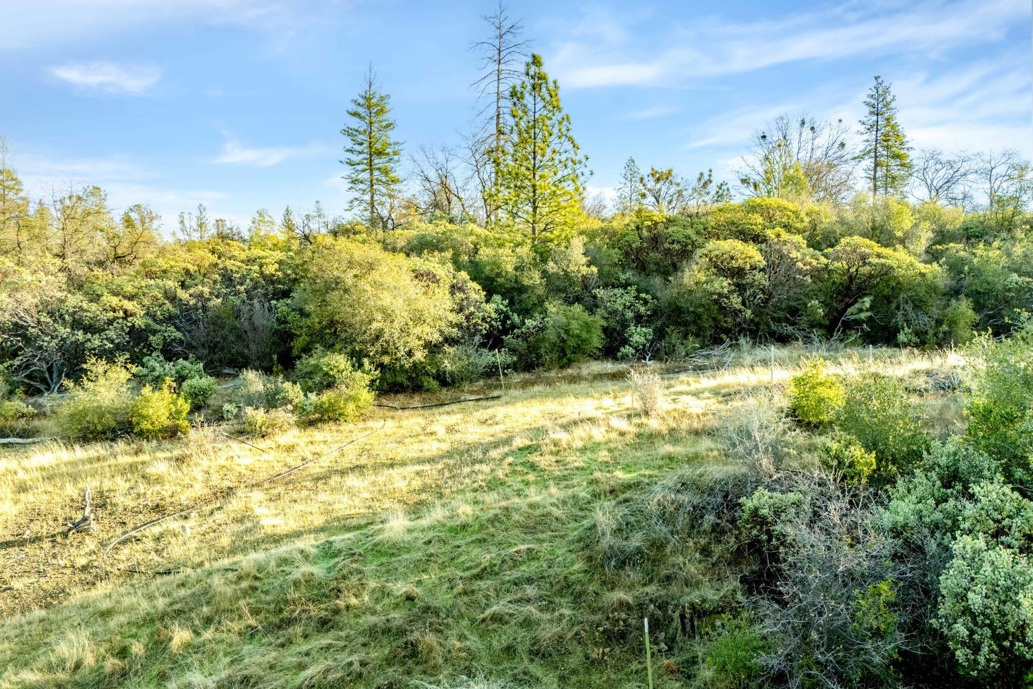 Deadmans Flat Road, Grass Valley, California image 10