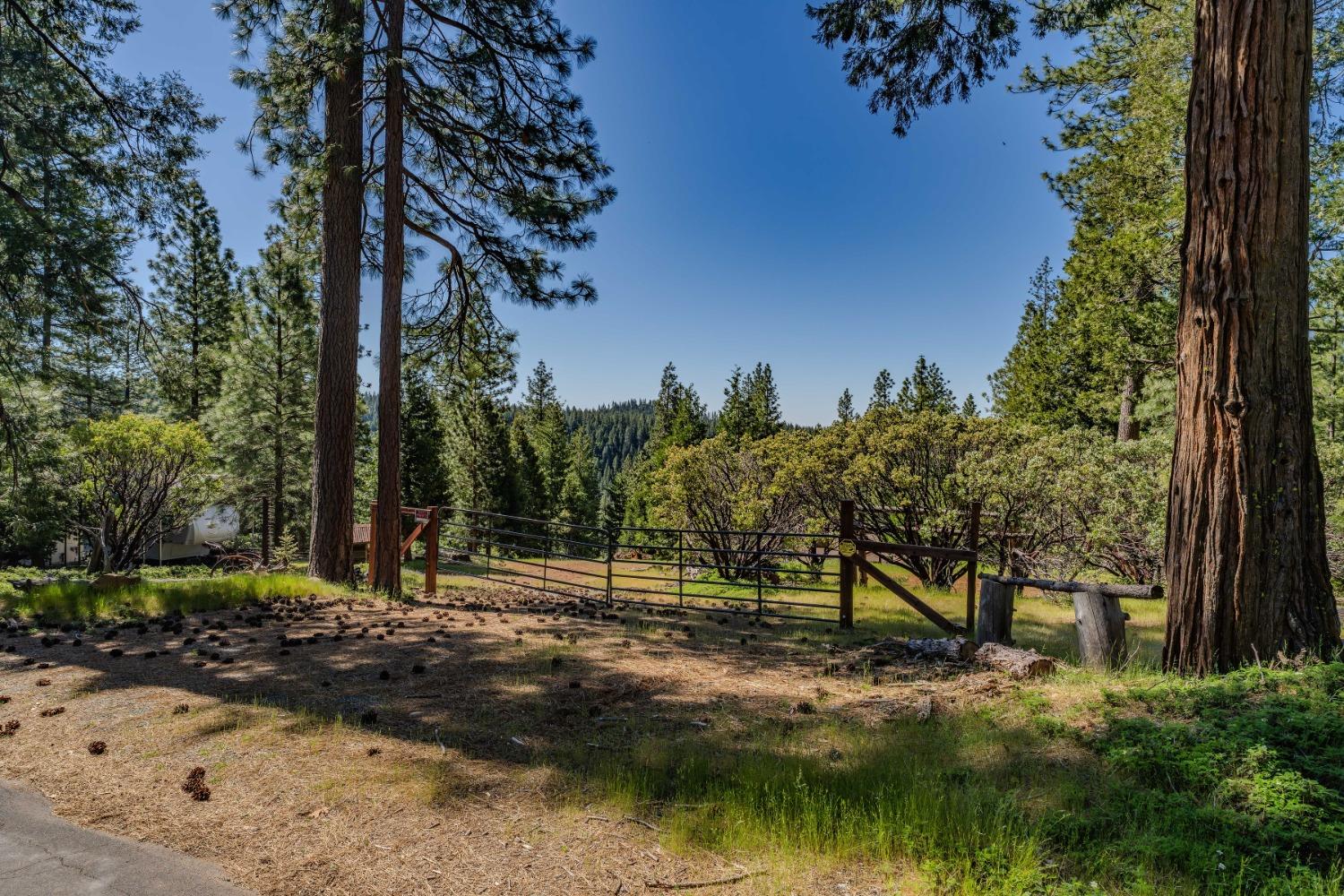 Detail Gallery Image 7 of 49 For 26340 Cedar Ave, Pioneer,  CA 95666 - – Beds | – Baths