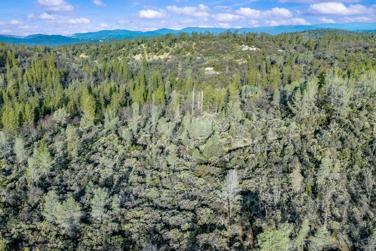 Deadmans Flat Road, Grass Valley, California image 33