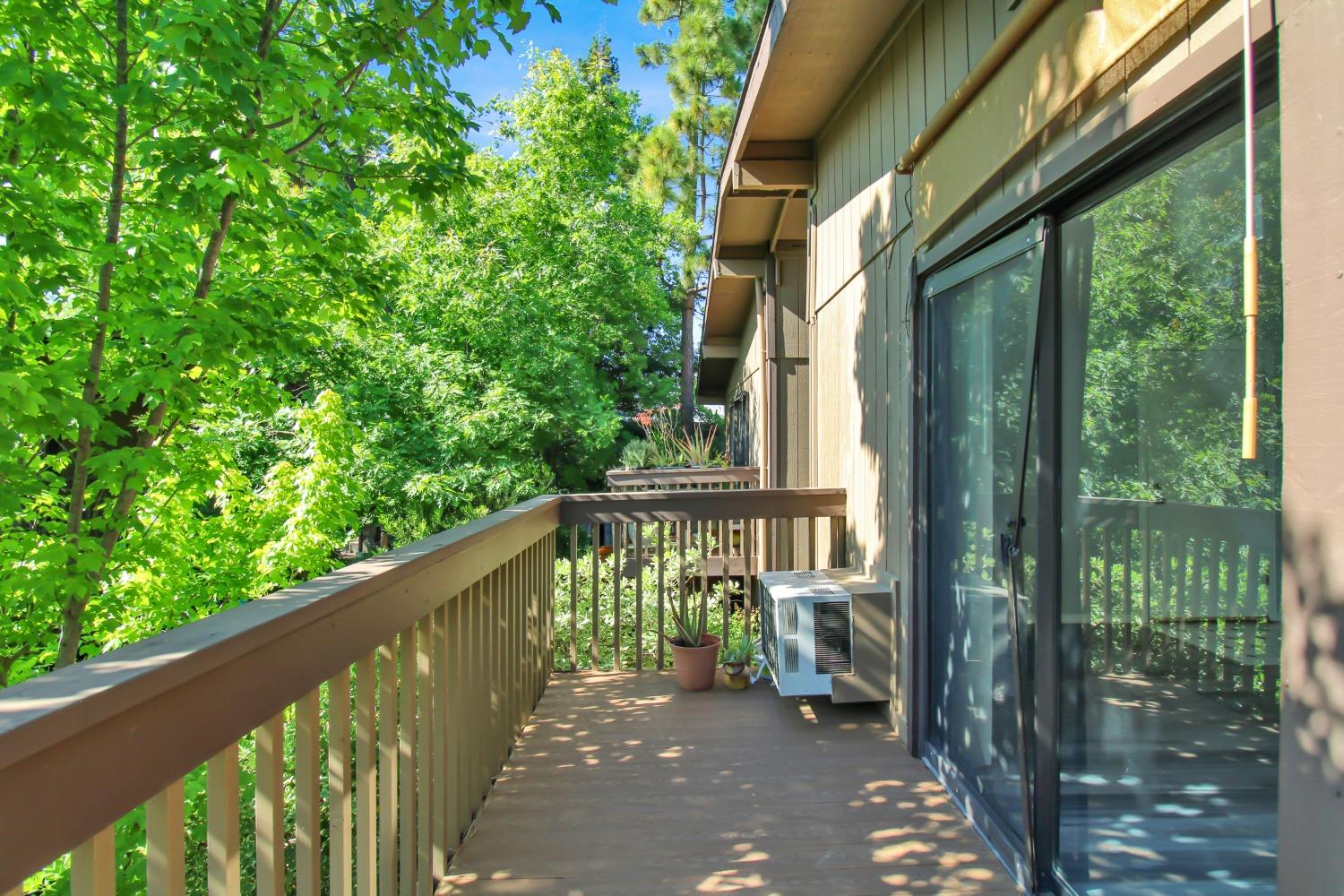 Photo #22: 225058646 Listing: Photo #22