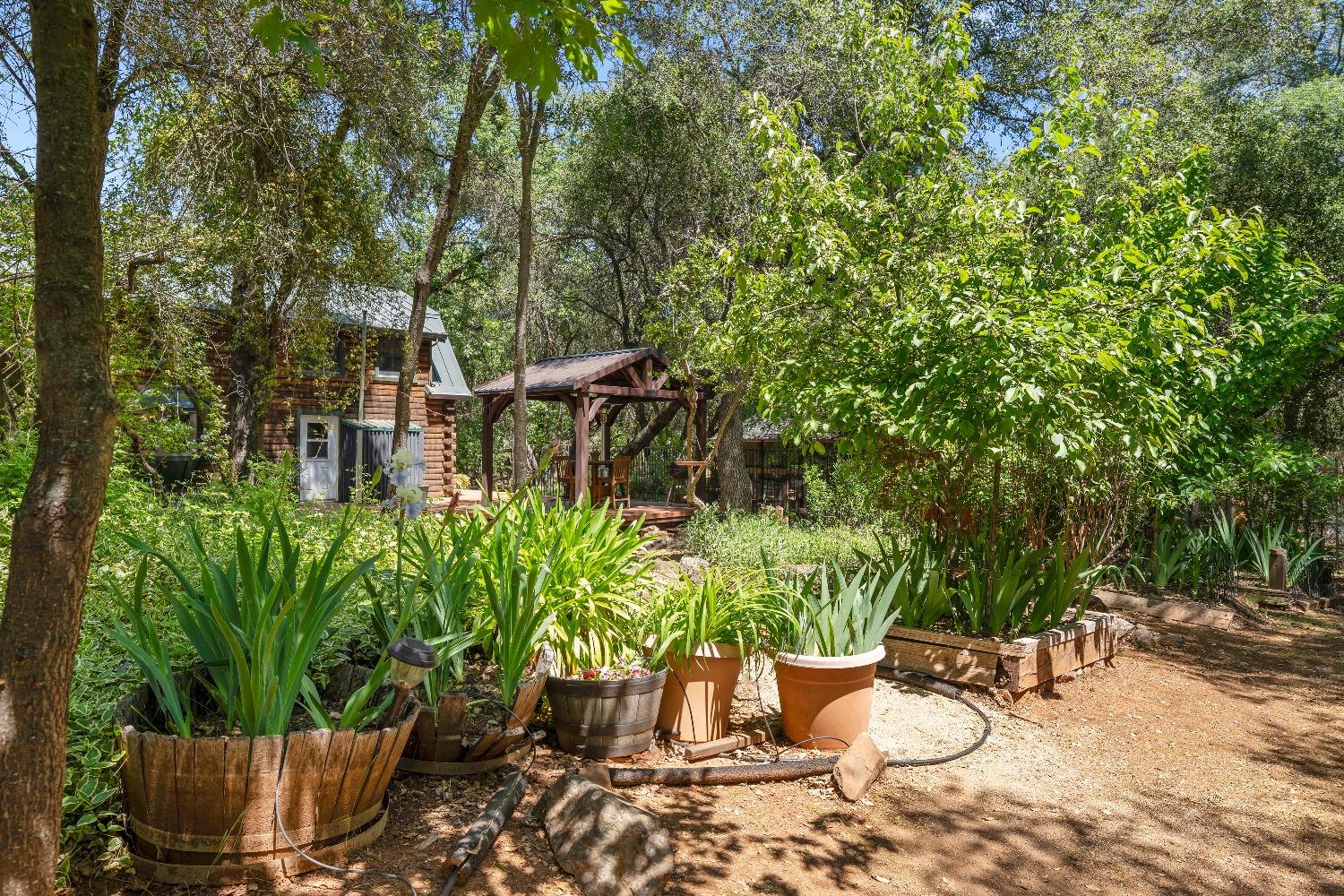 Detail Gallery Image 56 of 67 For 4651 Pilot Creek Ln, Pilot Hill,  CA 95664 - 3 Beds | 2 Baths
