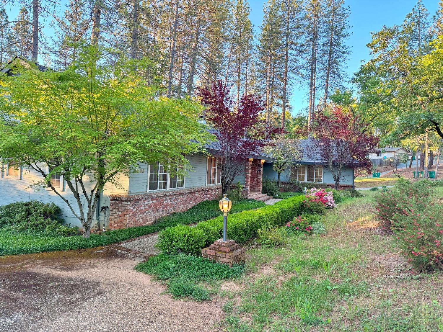 Old Ditch Drive, Placerville, California image 46