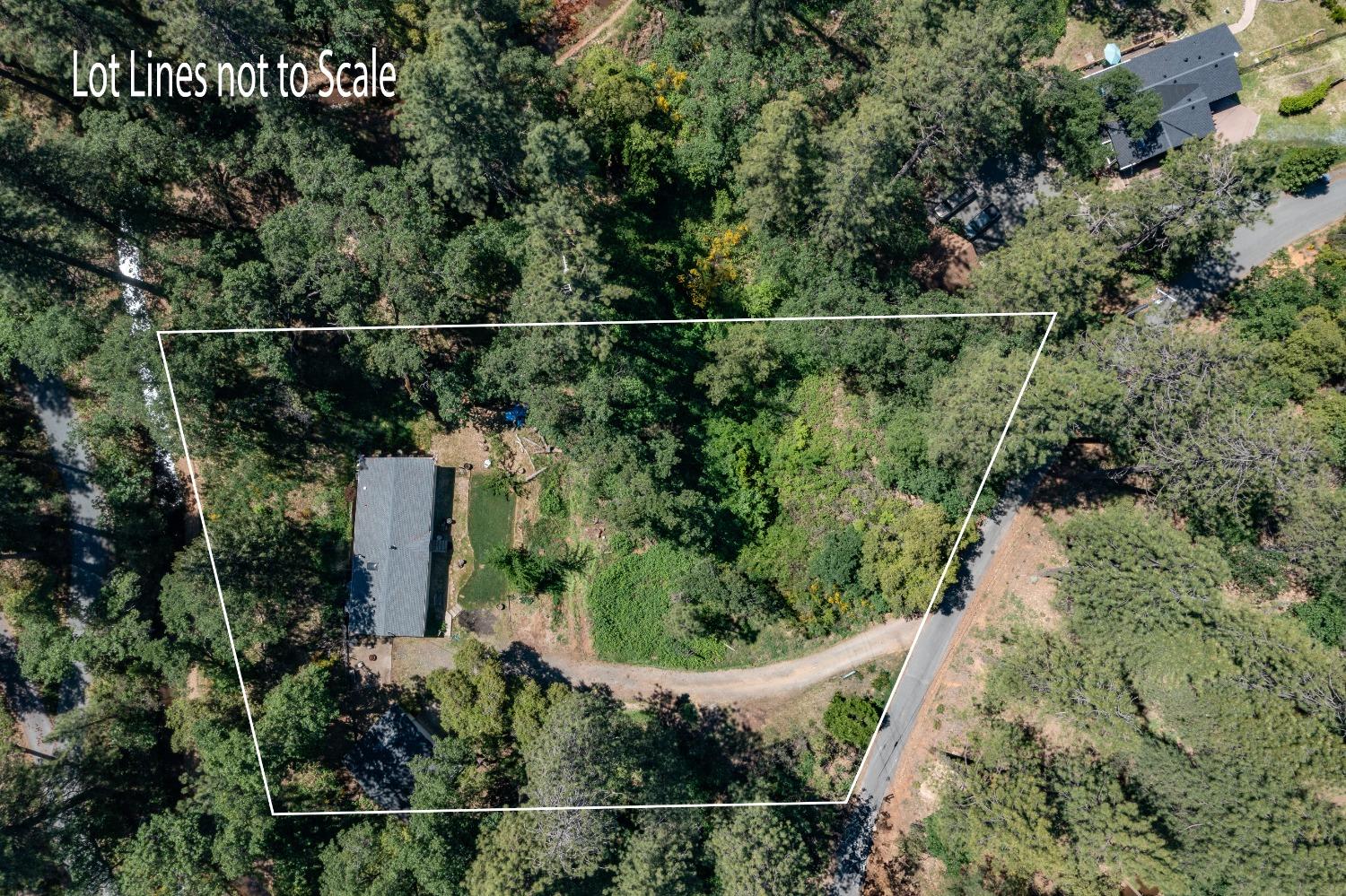 Quail Haven Road, Colfax, California image 17