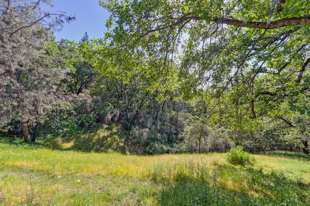 Detail Gallery Image 54 of 70 For 4292 Canyon Valley Rd, Diamond Springs,  CA 95619 - 3 Beds | 1 Baths