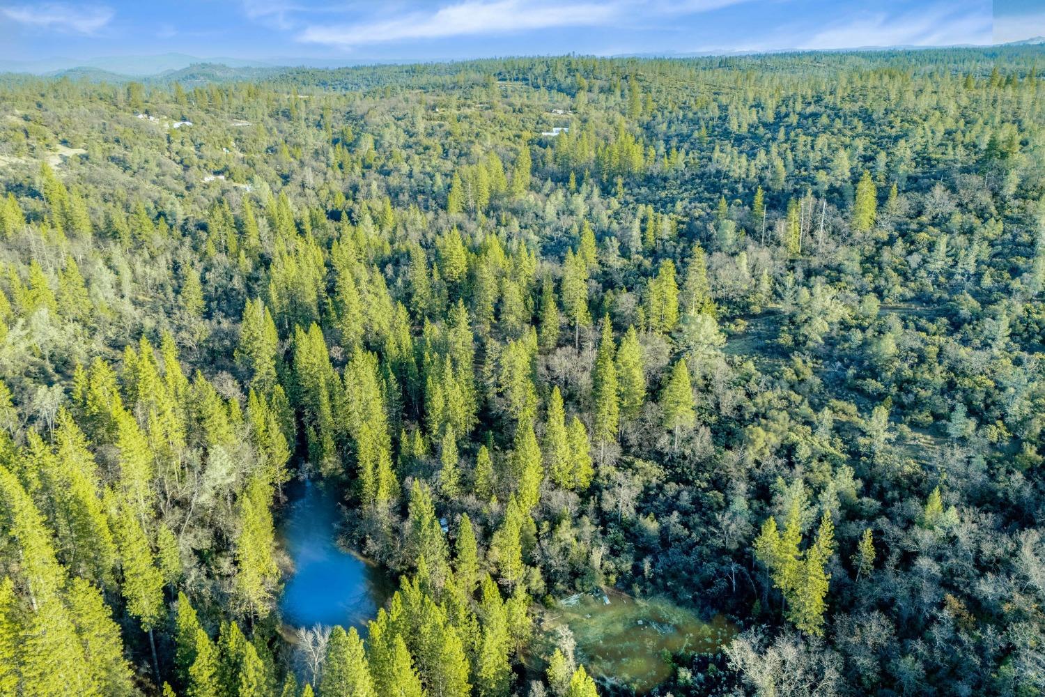 Deadmans Flat Road, Grass Valley, California image 15