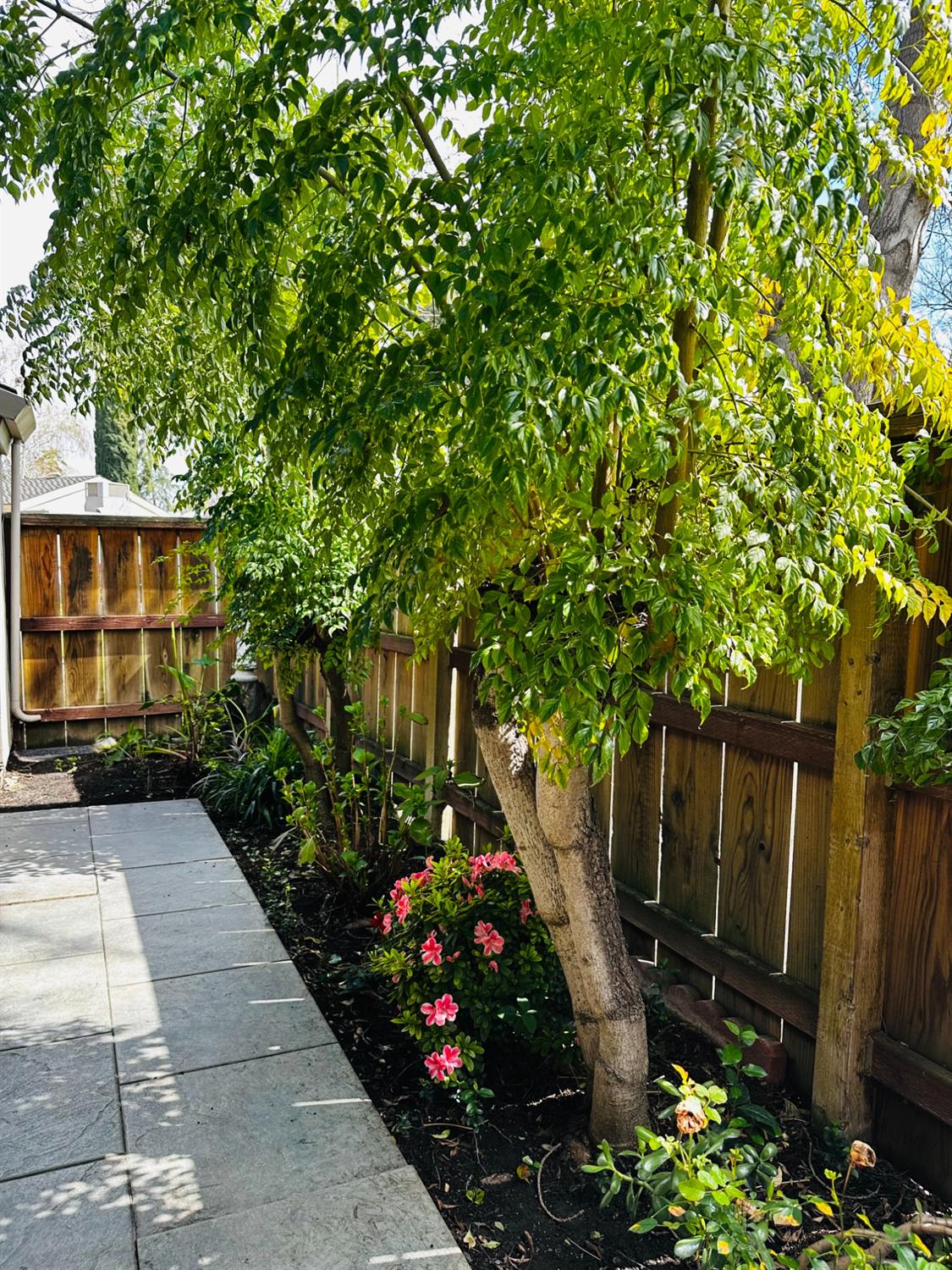Detail Gallery Image 21 of 26 For 3524 W Benjamin Holt Dr, Stockton,  CA 95219 - 2 Beds | 2 Baths