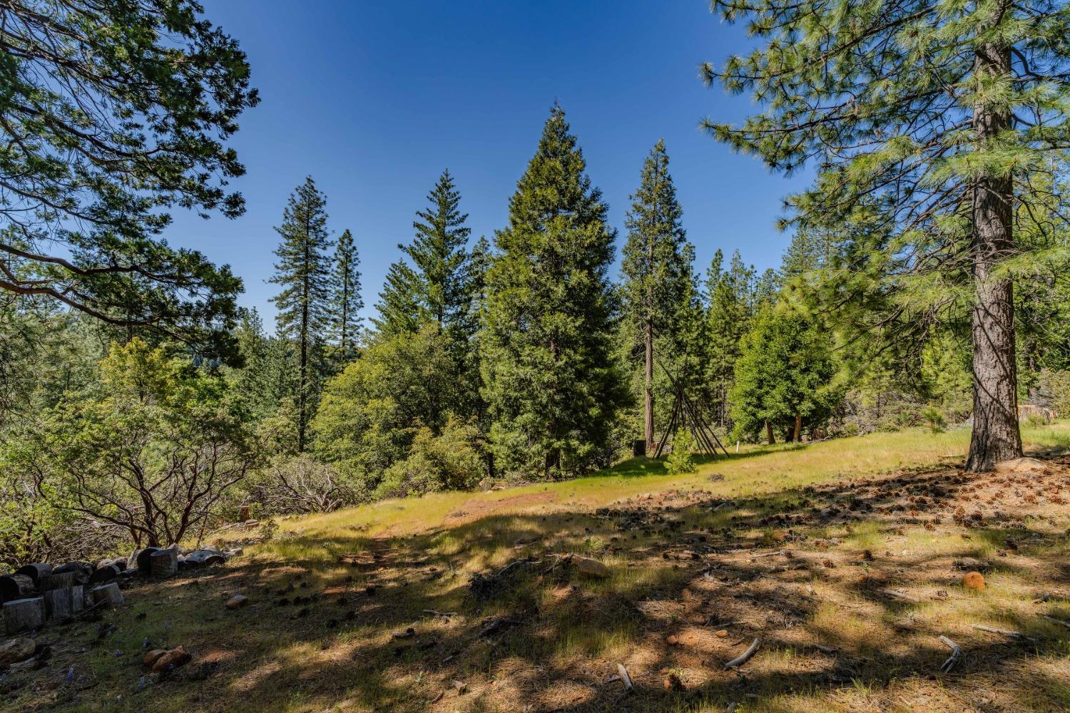 Detail Gallery Image 25 of 49 For 26340 Cedar Ave, Pioneer,  CA 95666 - – Beds | – Baths