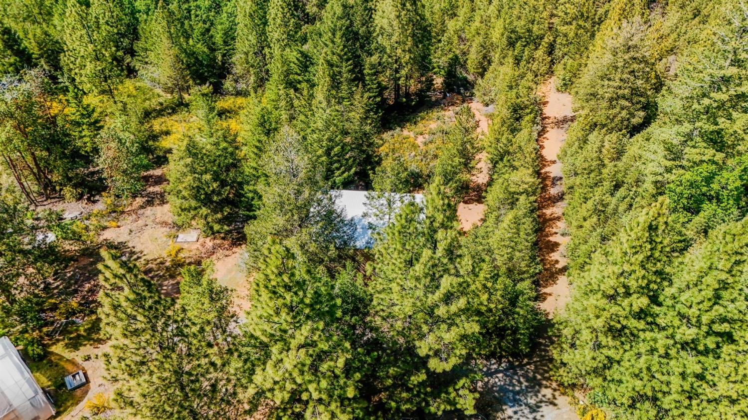 Detail Gallery Image 76 of 96 For 5734 Wilder Rd, Georgetown,  CA 95634 - – Beds | – Baths