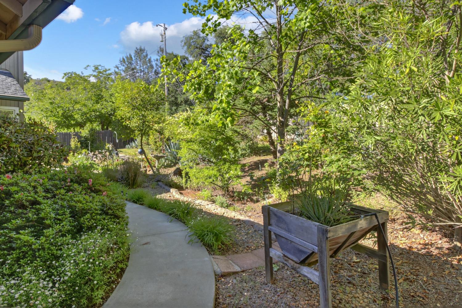 Hampton Lane, Cameron Park, California image 35