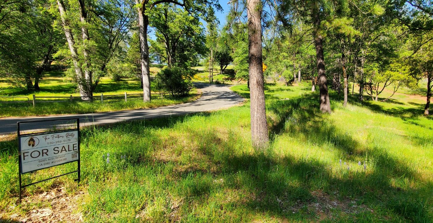 Jaguar, Grass Valley, California image 14