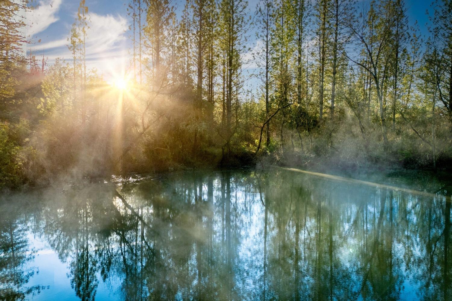 Deadmans Flat Road, Grass Valley, California image 1