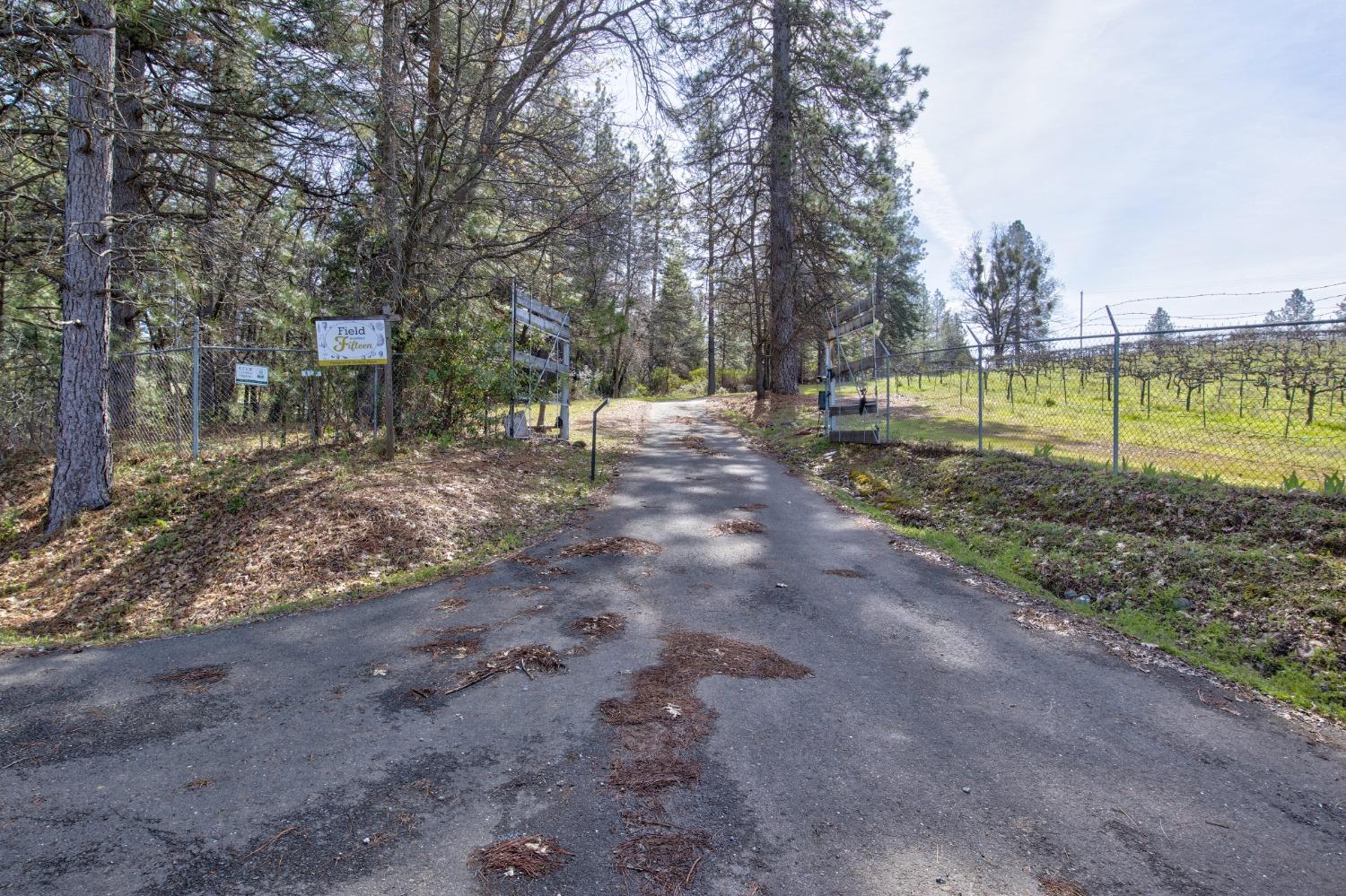Detail Gallery Image 42 of 71 For 4771 Greenhills Rd, Placerville,  CA 95667 - – Beds | – Baths