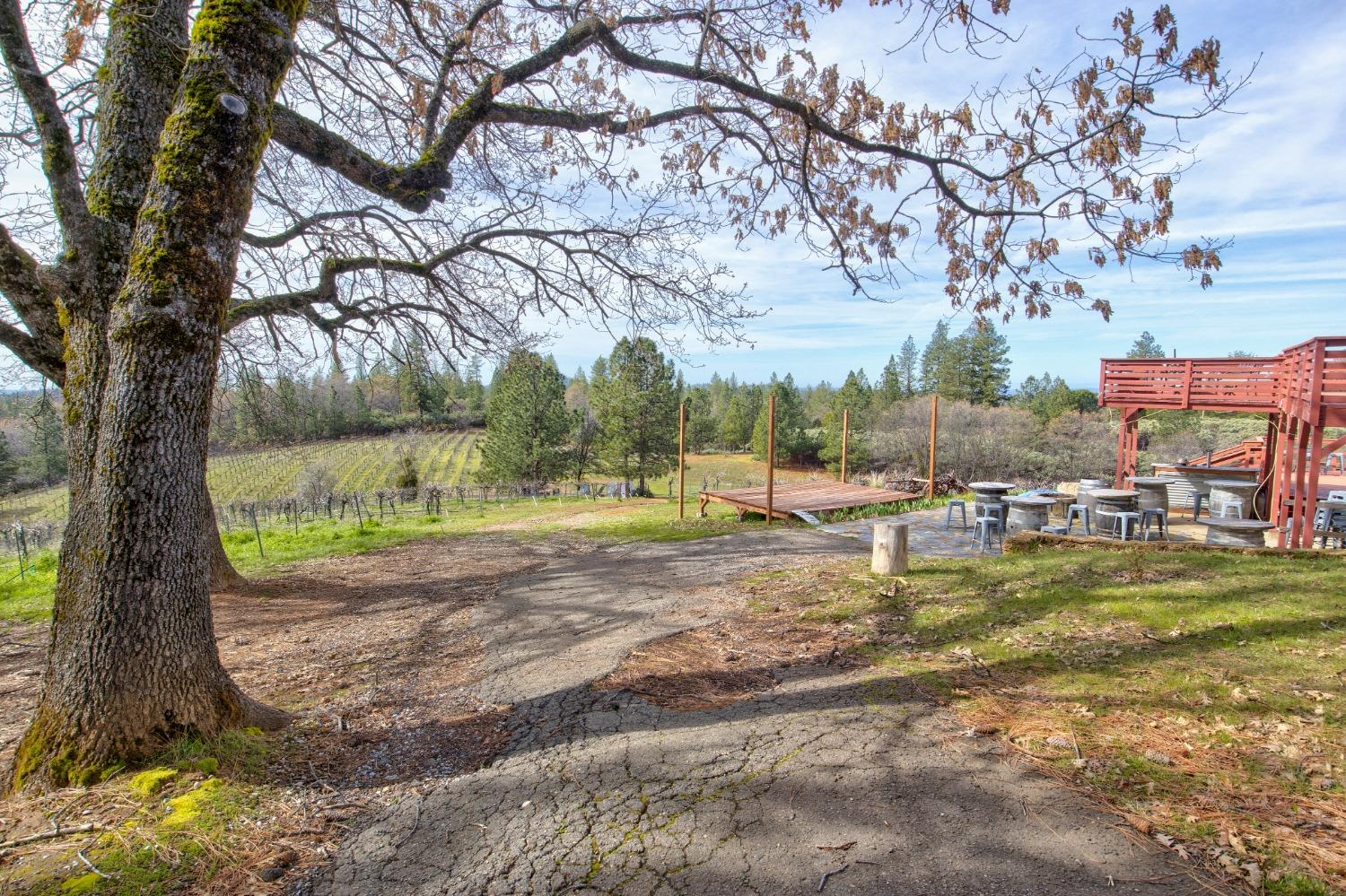 Detail Gallery Image 32 of 71 For 4771 Greenhills Rd, Placerville,  CA 95667 - – Beds | – Baths