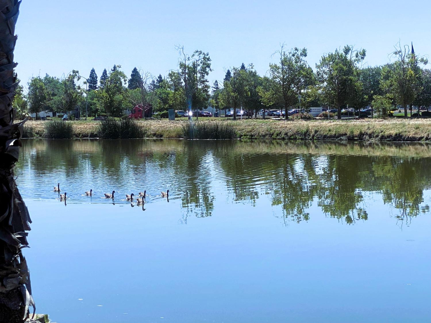 Detail Gallery Image 10 of 53 For 3901 Lake Rd 169, West Sacramento,  CA 95691 - 3 Beds | 2 Baths