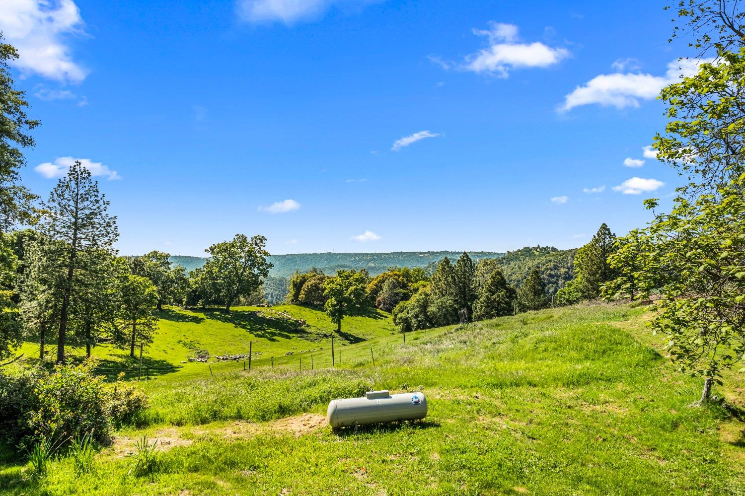 Detail Gallery Image 48 of 94 For 2575 Sand Ridge Rd, Placerville,  CA 95667 - 3 Beds | 2 Baths