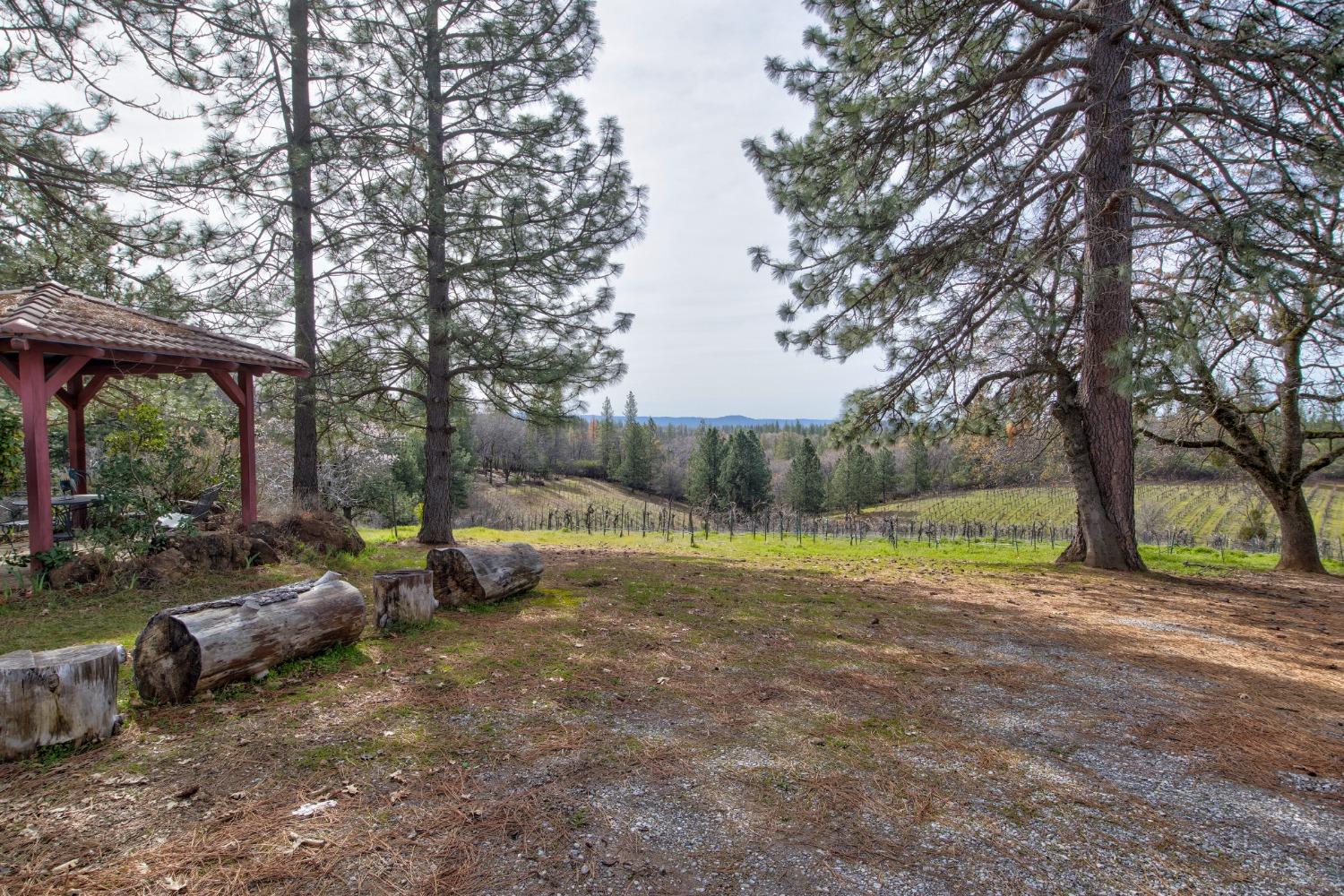 Detail Gallery Image 38 of 71 For 4771 Greenhills Rd, Placerville,  CA 95667 - – Beds | – Baths