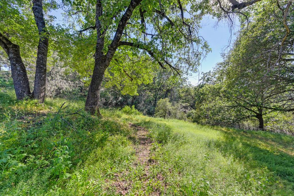 Detail Gallery Image 50 of 70 For 4292 Canyon Valley Rd, Diamond Springs,  CA 95619 - 3 Beds | 1 Baths