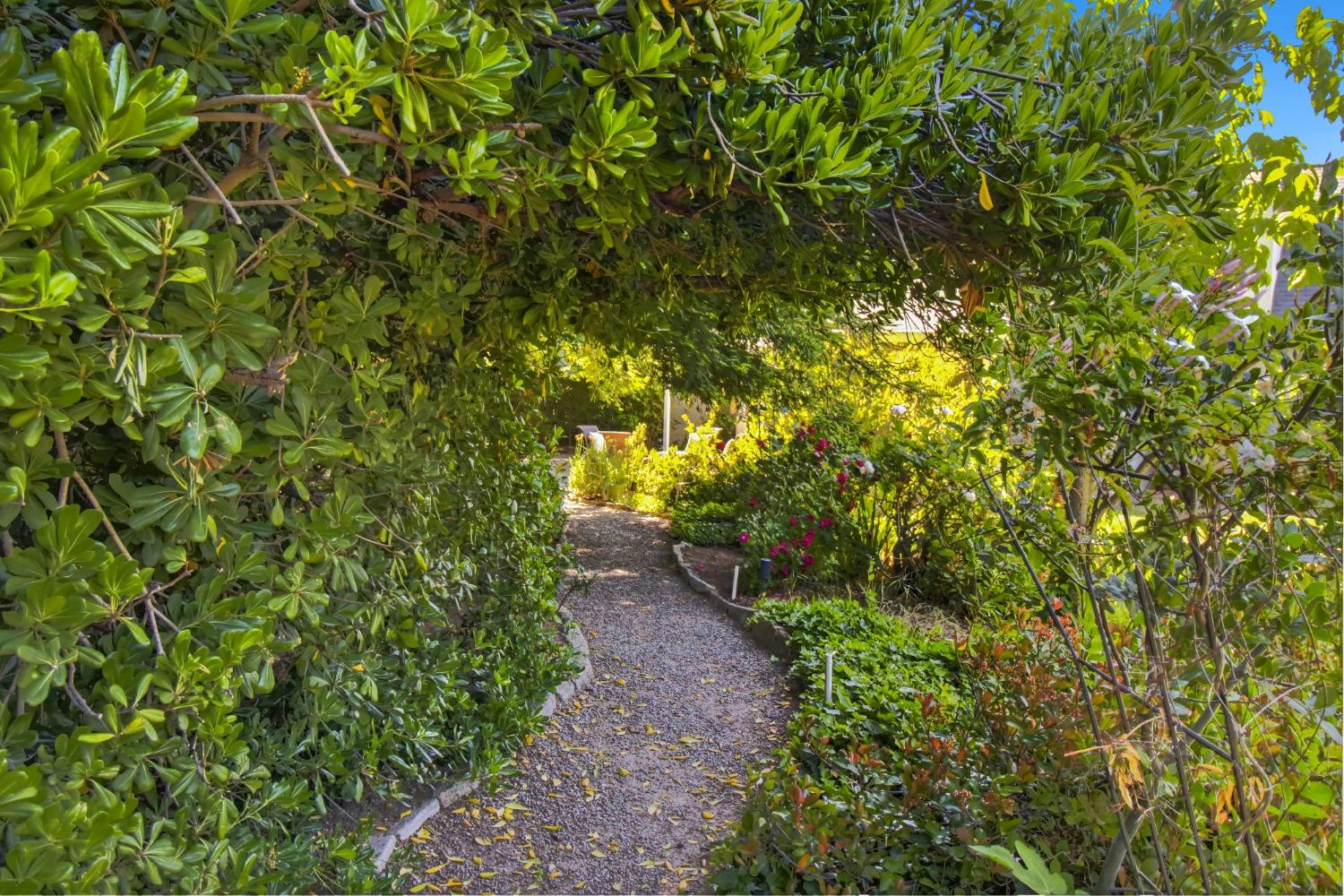 Detail Gallery Image 53 of 73 For 1837 Drew Ct, Carmichael,  CA 95608 - 4 Beds | 2 Baths