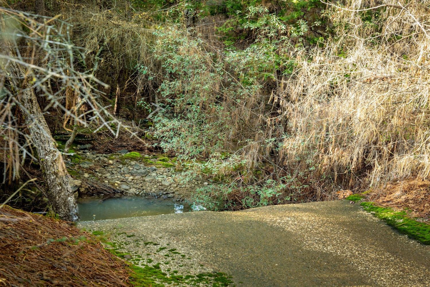 Deadmans Flat Road, Grass Valley, California image 40