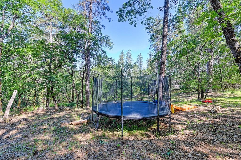 Detail Gallery Image 45 of 54 For 21855 Digger Pine Ln, Colfax,  CA 95713 - 3 Beds | 2 Baths