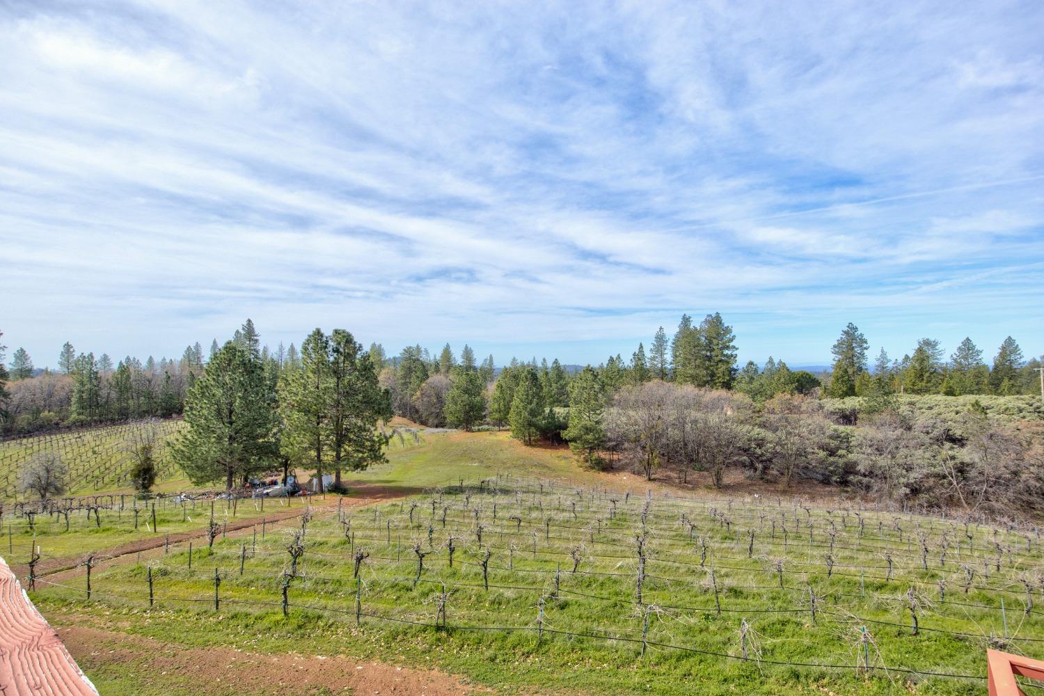 Detail Gallery Image 28 of 71 For 4771 Greenhills Rd, Placerville,  CA 95667 - – Beds | – Baths