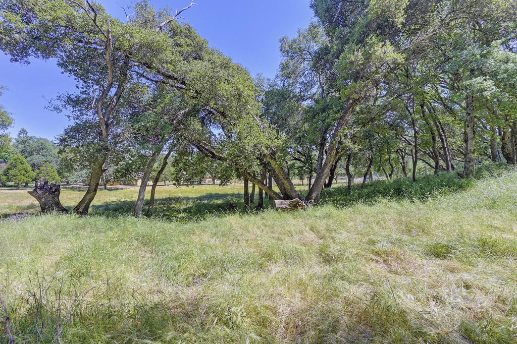 Detail Gallery Image 16 of 74 For 5400 Genney Ln, El Dorado,  CA 95623 - 3 Beds | 2 Baths