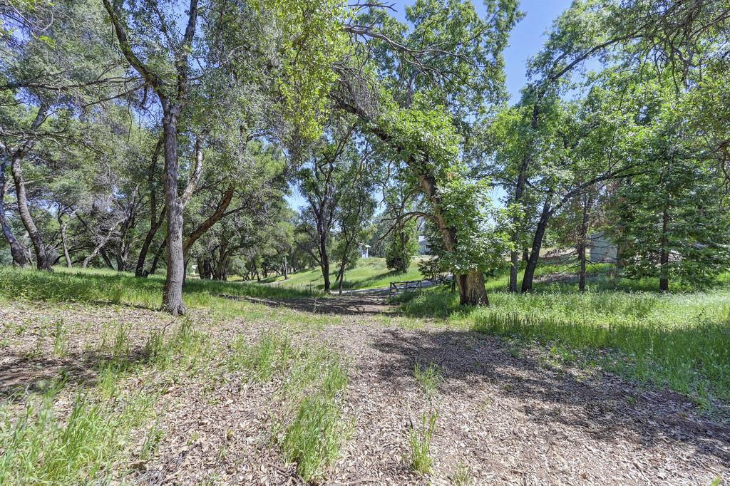 Detail Gallery Image 14 of 74 For 5400 Genney Ln, El Dorado,  CA 95623 - 3 Beds | 2 Baths