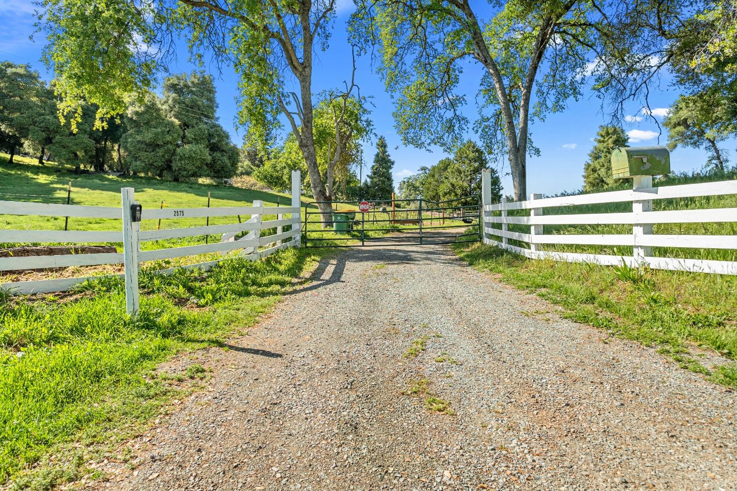Detail Gallery Image 9 of 94 For 2575 Sand Ridge Rd, Placerville,  CA 95667 - 3 Beds | 2 Baths