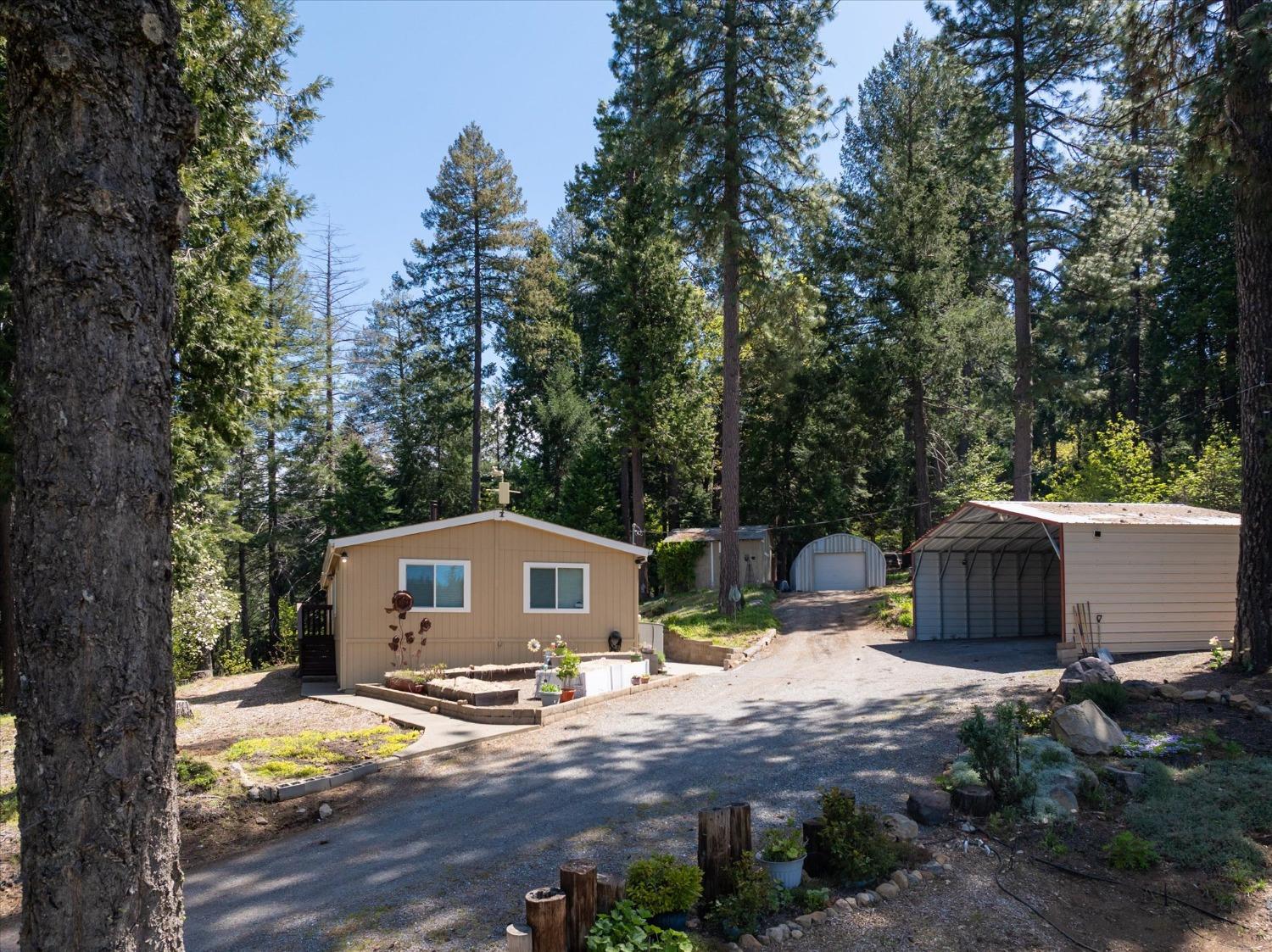 Pony Express Trail, Pollock Pines, California image 2