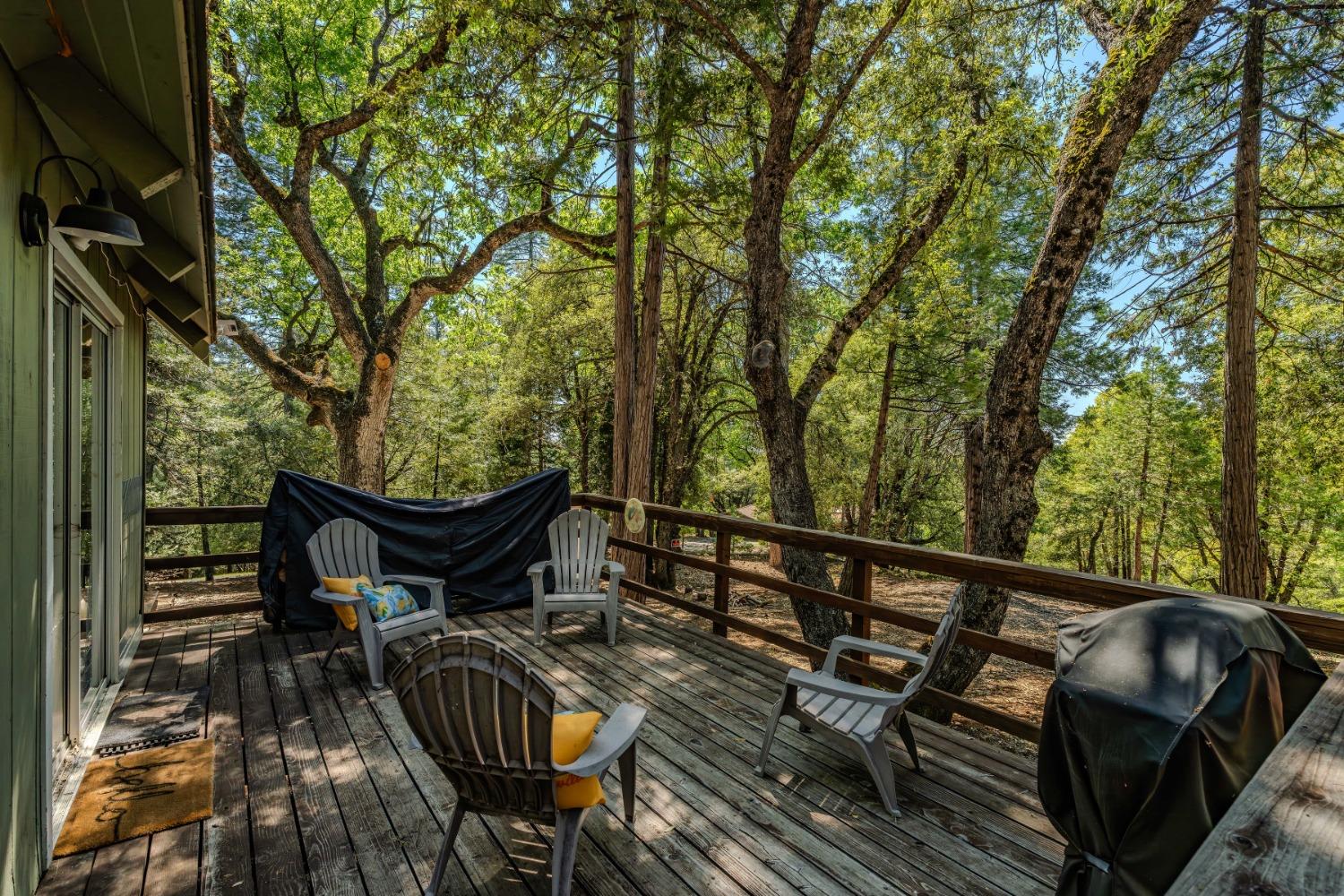 Detail Gallery Image 24 of 27 For 19353 Ponderosa Dr, Volcano,  CA 95689 - 2 Beds | 1 Baths