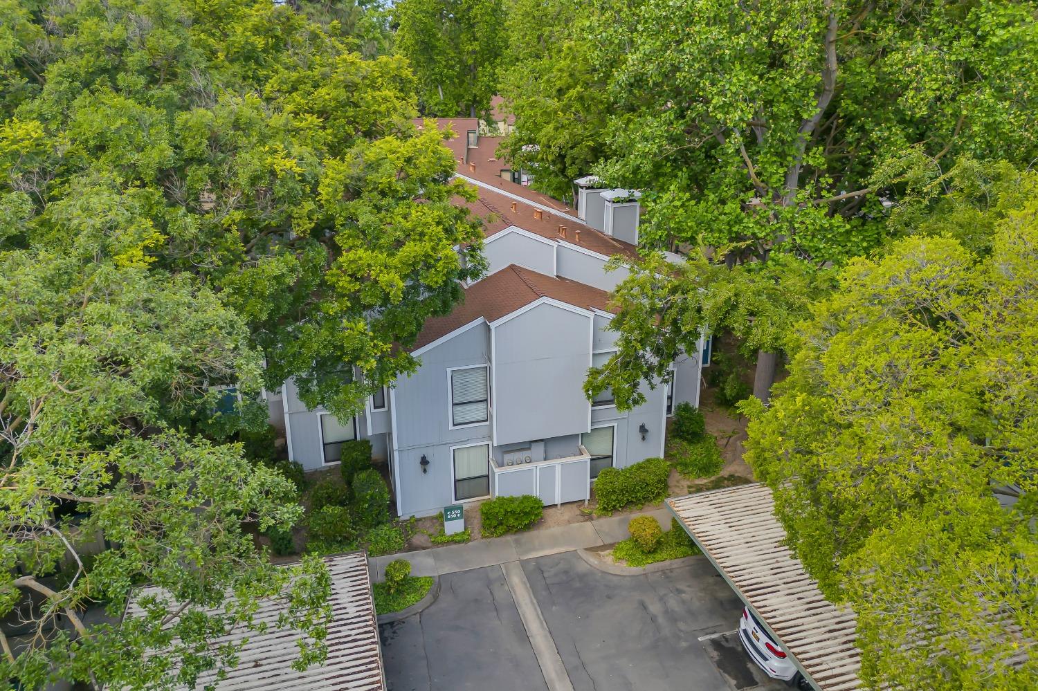 Photo #33: 225058496 Listing: Photo #33
