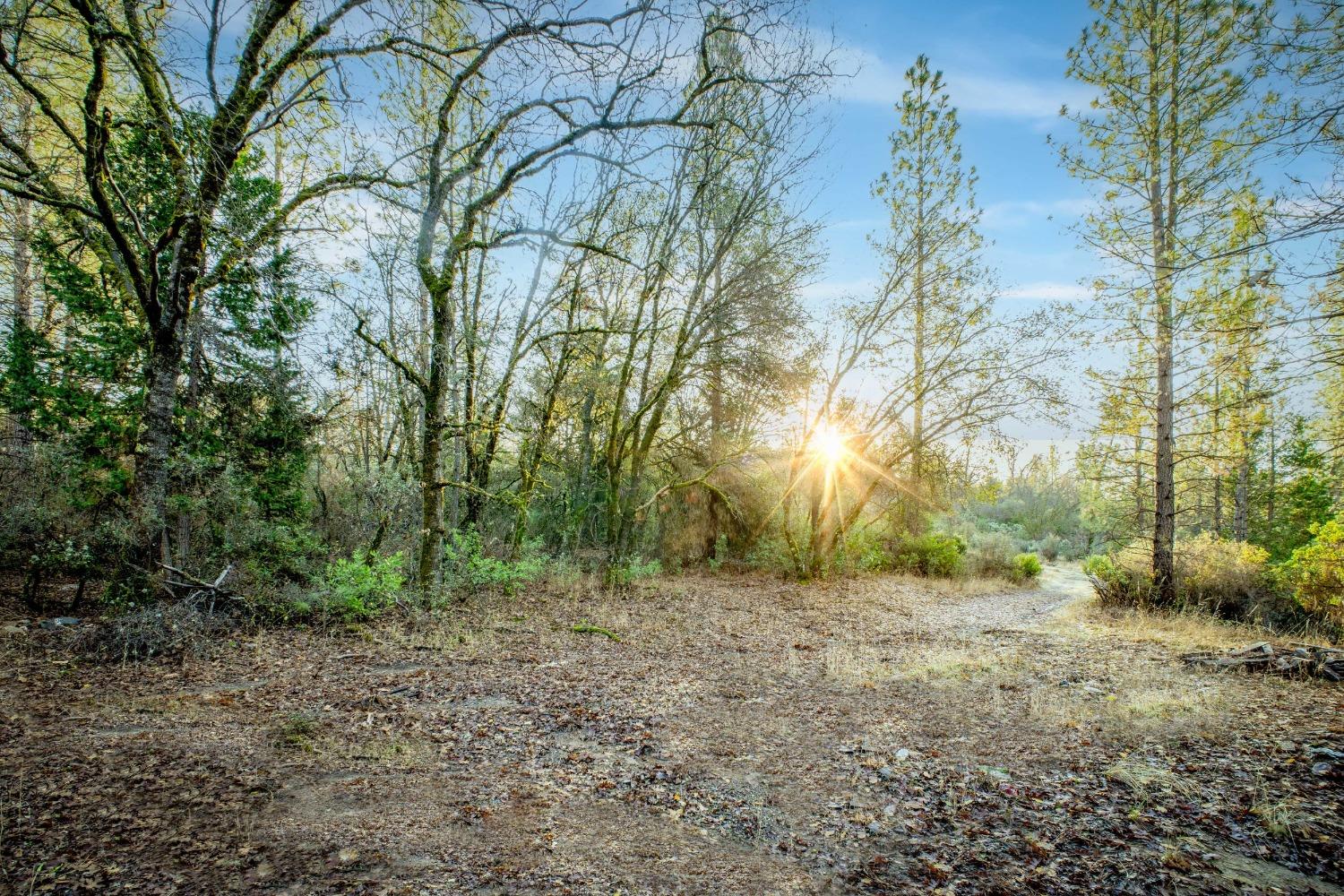 Deadmans Flat Road, Grass Valley, California image 47
