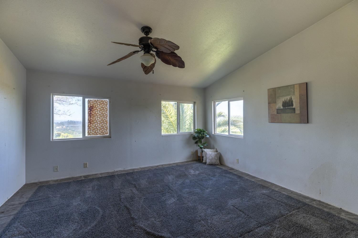 Bunzie Road, Rescue, California image 10