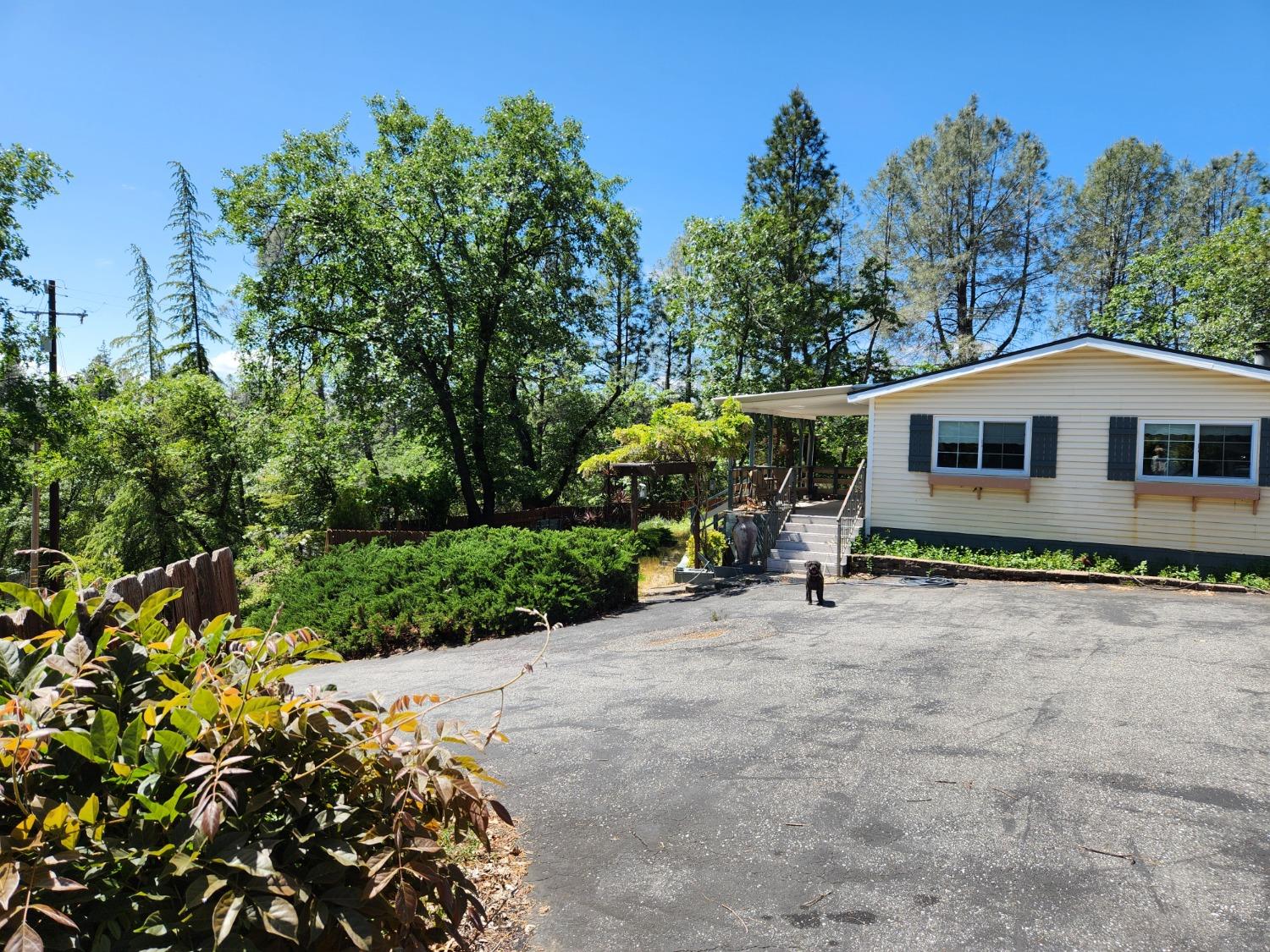 Detail Gallery Image 6 of 33 For 401 Iyu Camp Rd, Colfax,  CA 95713 - 2 Beds | 2 Baths
