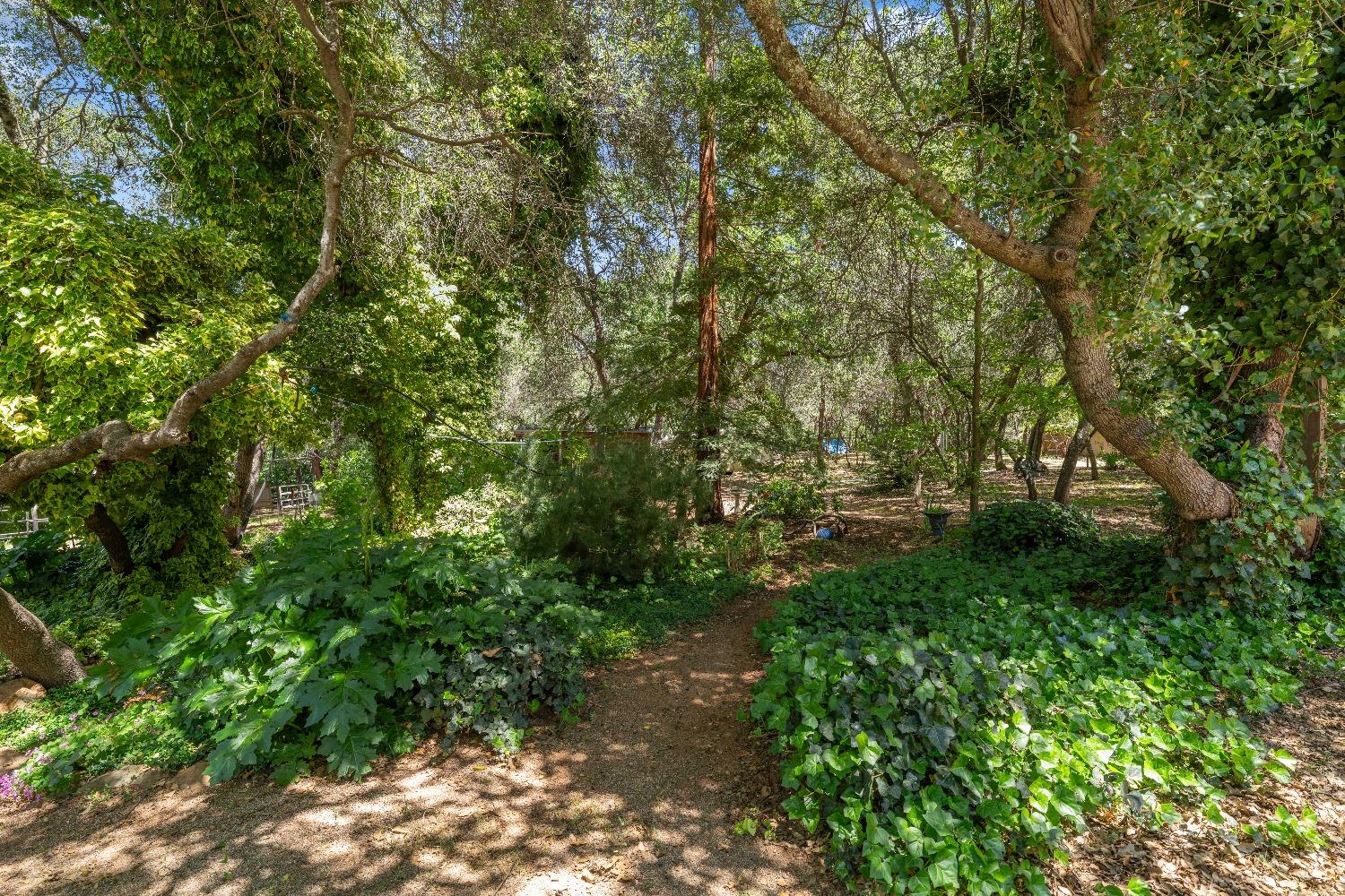 Detail Gallery Image 58 of 67 For 4651 Pilot Creek Ln, Pilot Hill,  CA 95664 - 3 Beds | 2 Baths