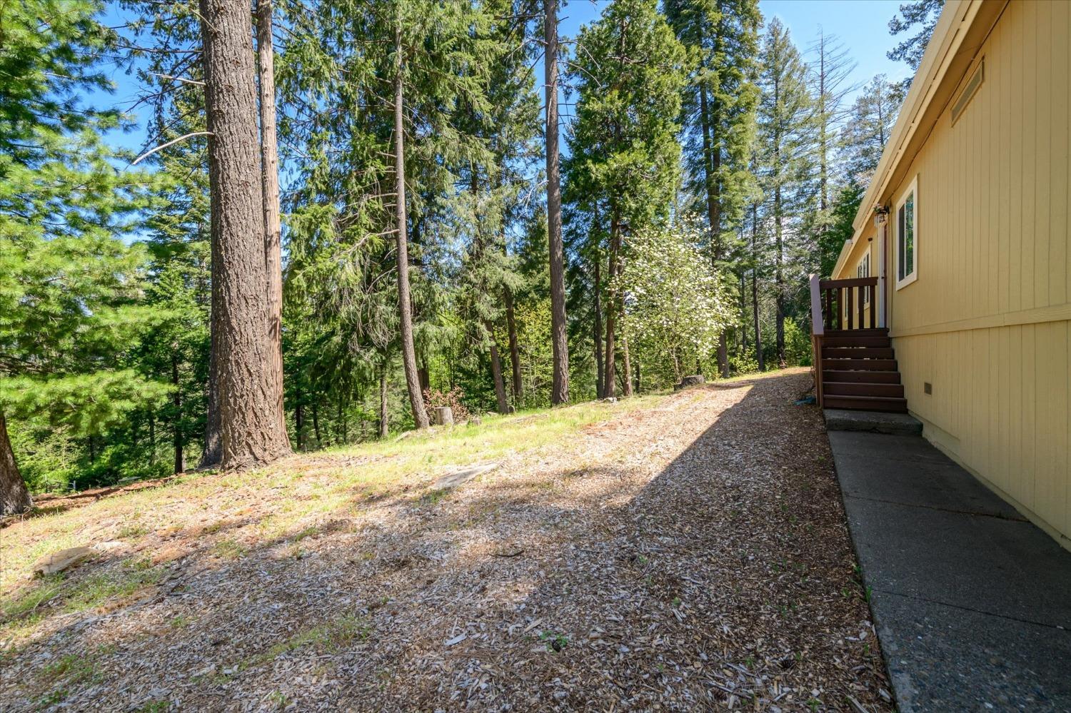 Pony Express Trail, Pollock Pines, California image 24
