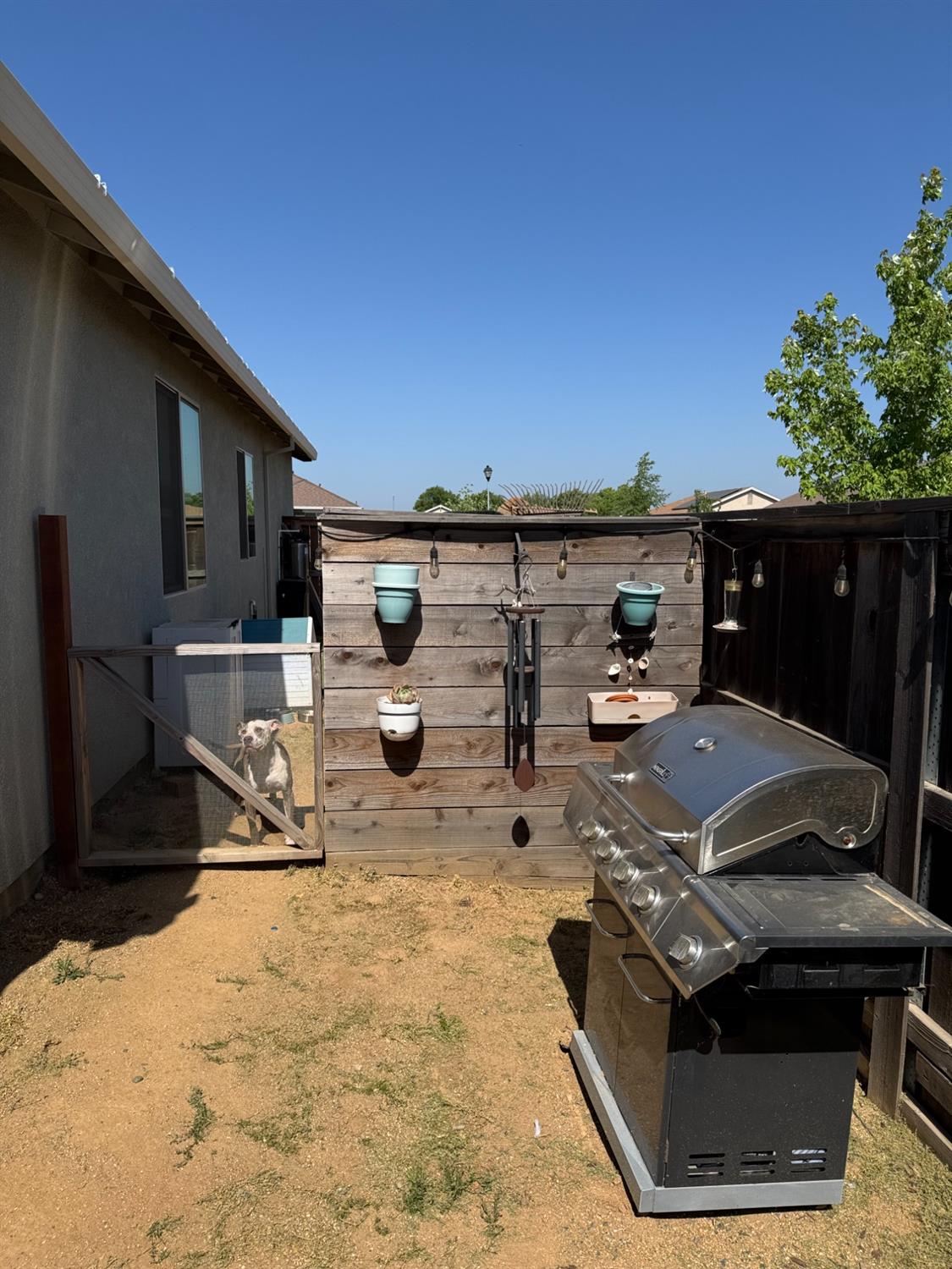 Seedling Way, Marysville, California image 31