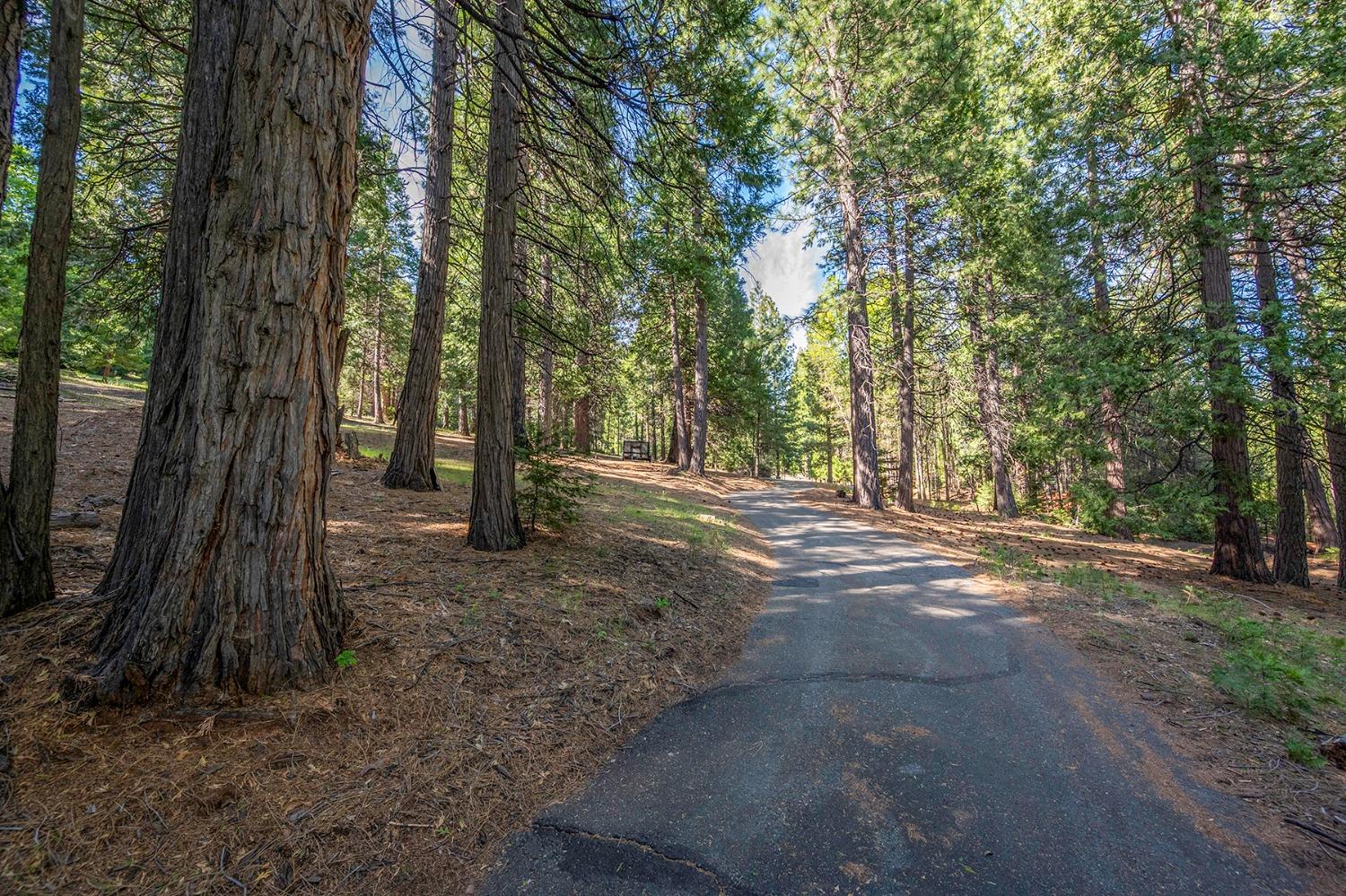 Dio Linda Court, Pollock Pines, California image 38