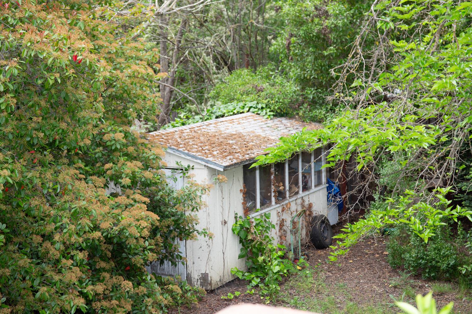 Detail Gallery Image 9 of 11 For 2729 Kinney Dr, Lafayette,  CA 94595 - 2 Beds | 1 Baths