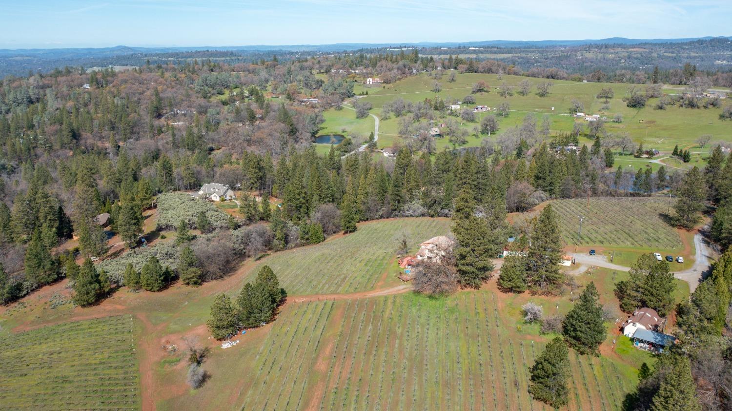Detail Gallery Image 66 of 71 For 4771 Greenhills Rd, Placerville,  CA 95667 - – Beds | – Baths