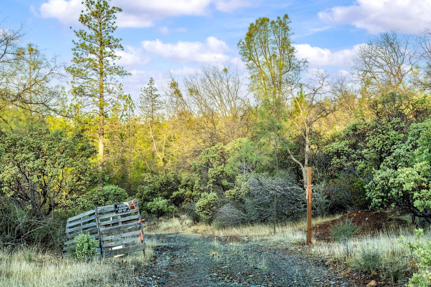 Deadmans Flat Road, Grass Valley, California image 43