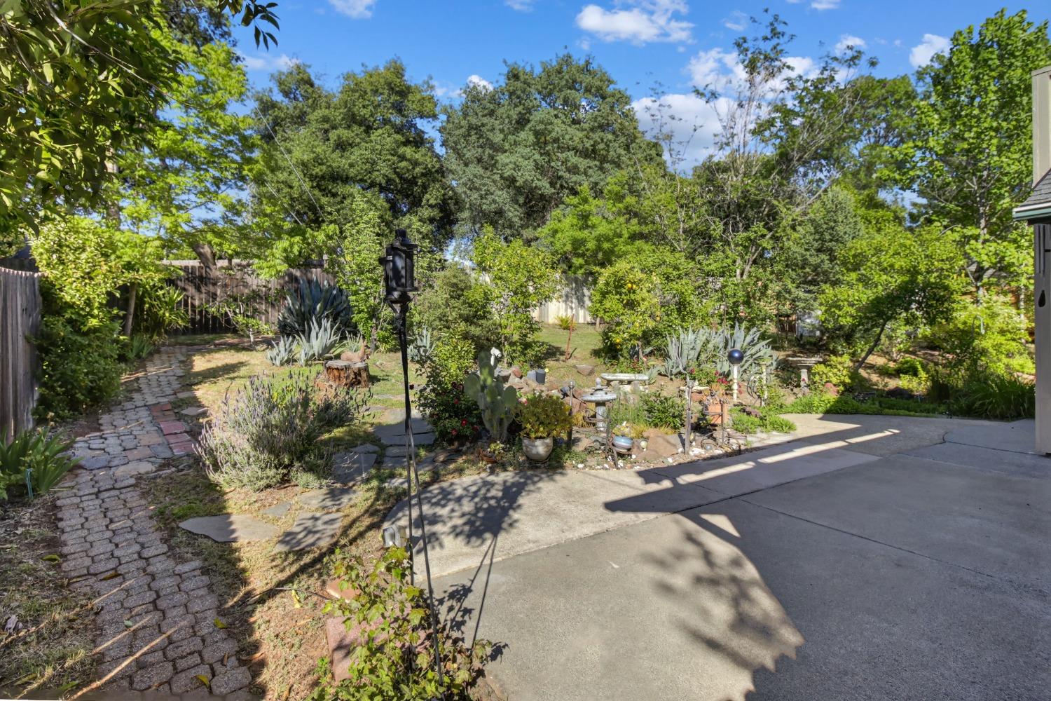 Hampton Lane, Cameron Park, California image 41
