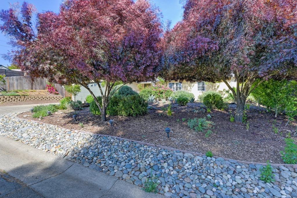 Detail Gallery Image 2 of 31 For 5349 Mcmillan Dr, Fair Oaks,  CA 95628 - 3 Beds | 2 Baths