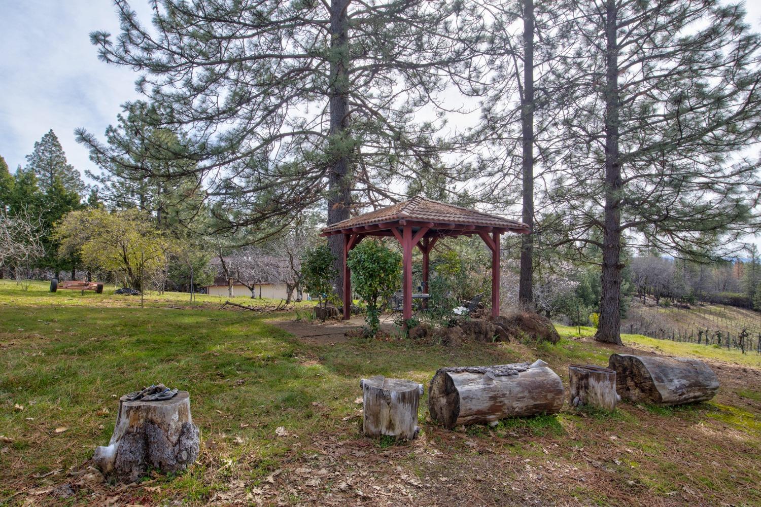 Detail Gallery Image 39 of 71 For 4771 Greenhills Rd, Placerville,  CA 95667 - – Beds | – Baths