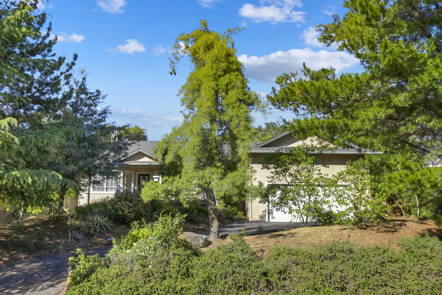 Hampton Lane, Cameron Park, California image 6